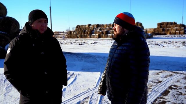 Ангусы в Казахстане. Откорм КРС, стоимость содержания и цены на мясо ﻿| ТОО Терра смотреть онлайн