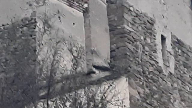 Безумство чугуна в этой ,эээ, реальности. Огромные красные скобы и микро пупки с лепестками смотреть онлайн