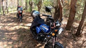 Путешествие на мопеде альфа. Встреча с подписчиком. Реакция подписчика на мой мопед. Катаем вместе