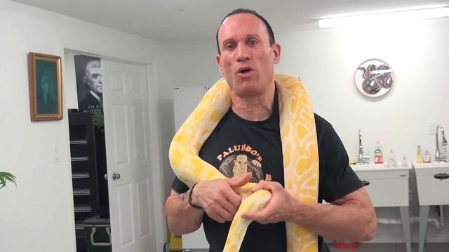 BIG BURMESE PYTHONS: What You Need to Know смотреть онлайн