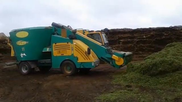 VID 20180712 WA0000 смотреть онлайн