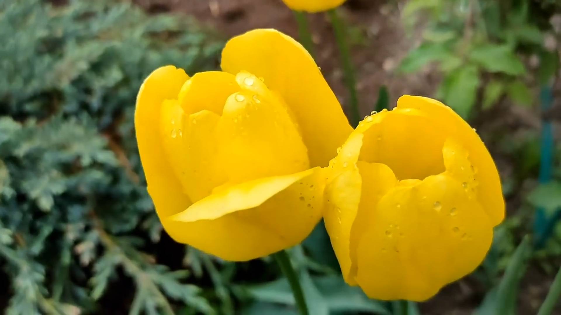 Летнее настроение!!! смотреть онлайн