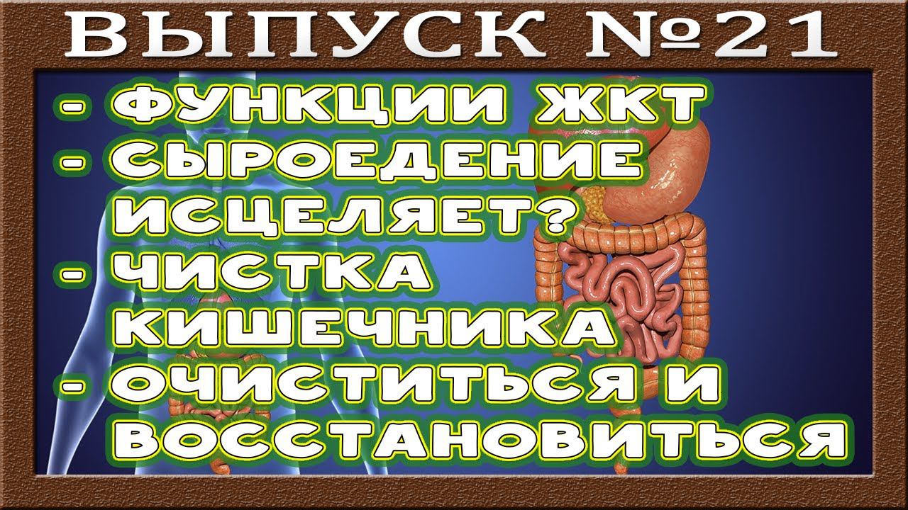 Функции ЖКТ. Сыроедение чистит? Методы очищения кишечника. Очищение и восстановление организма. смотреть онлайн