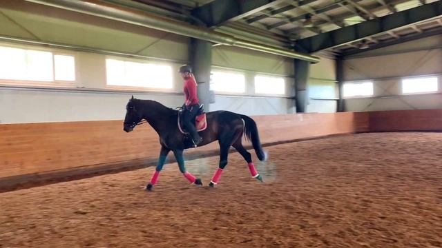 НЕСТАБИЛЬНЫЙ СБОР НА ЛОШАДИ??? смотреть онлайн