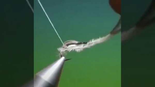 VID_20230607_141346_504.mp4