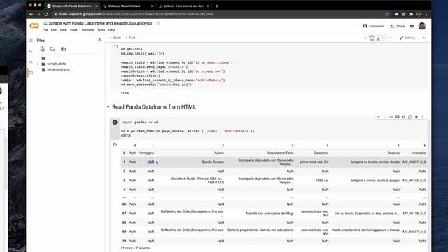 Web scraping with Python, BeautifulSoup, Pandas and Selenium смотреть онлайн