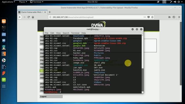 Exploitation of Basic File upload Vulnerabilities смотреть онлайн