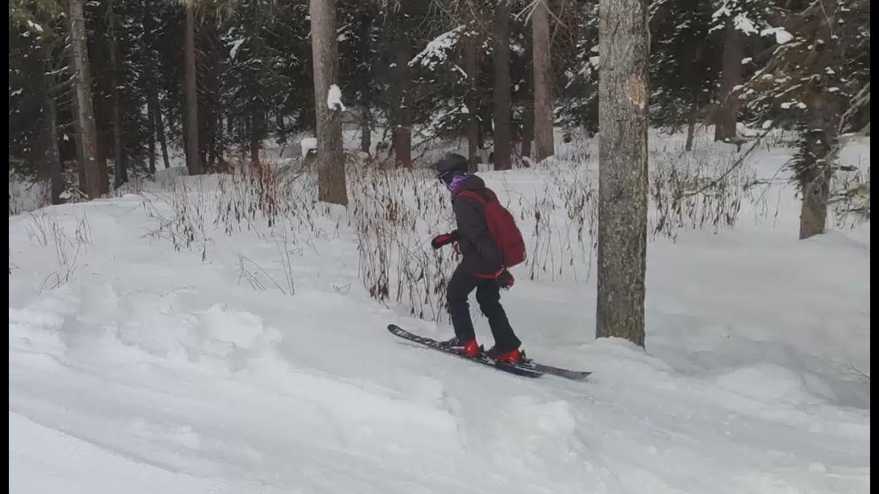 Архыз 2023: когда по лесу нельзя, а на трассе скучно смотреть онлайн