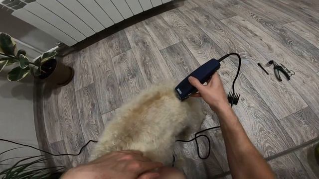 Moser Rex Adjustable обзор и стрижка собаки / Wahl MOSER REX Adjustable смотреть онлайн