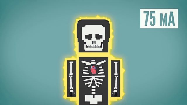 ЧТО БУДЕТ, если ВАС УДАРИТ ЭЛЕКТРИЧЕСКИМ ТОКОМ? смотреть онлайн