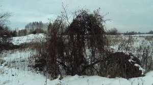 Заяц крепкие орешки. Охота на зайца беляка троплением.