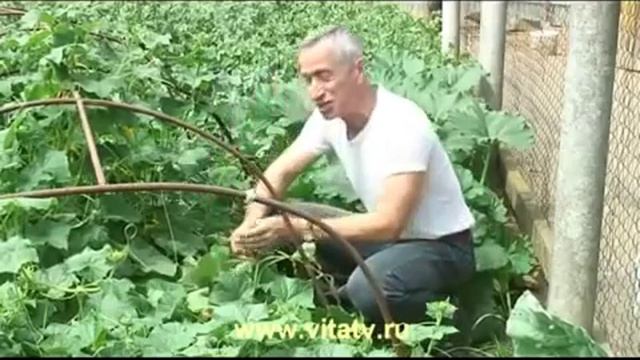 100500 Выпуск - Сладенький