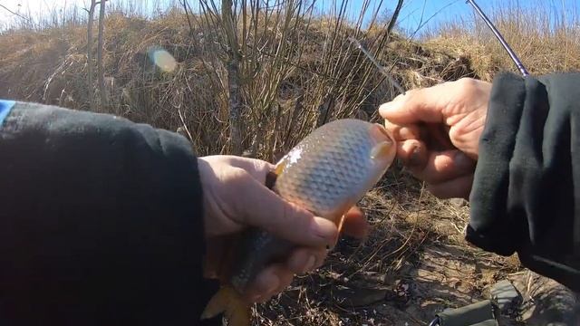 Плотва на староладожском канале смотреть онлайн
