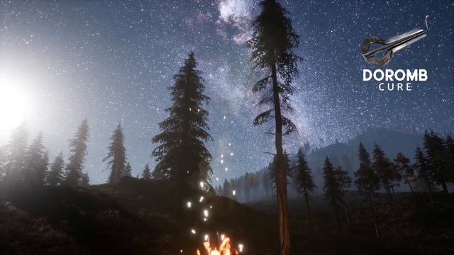 Night Forest Jaw Harp смотреть онлайн