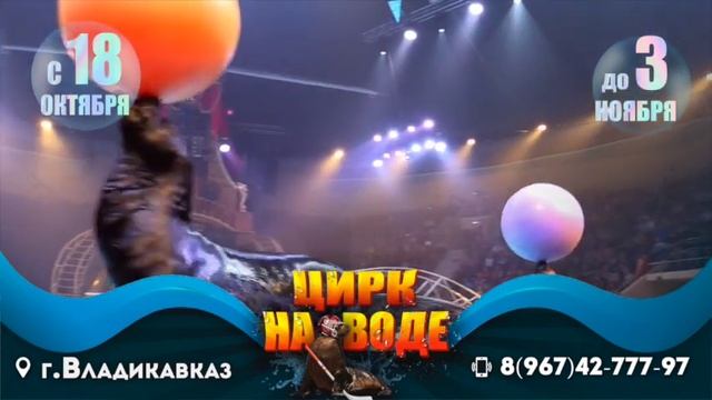 Цирк на воде Владикавказ 2019 0+ смотреть онлайн