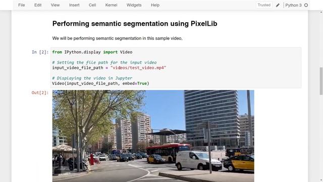 Semantic and Instance Segmentation on Videos using PixelLib in Python смотреть онлайн