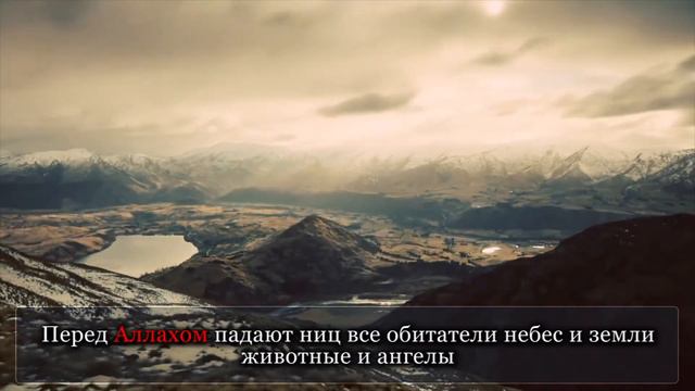 Muhammad AL Luhaidan Мухаммад аль Люхайдан Сура 16 «АН НАХЛЬ» «ПЧЕЛЫ»,48 50 смотреть онлайн