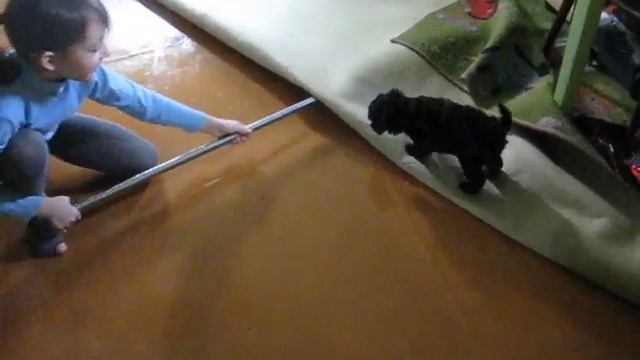 Фенечка помогает мыть пол смотреть онлайн