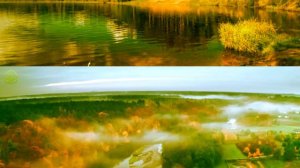 Не уходи, слышишь