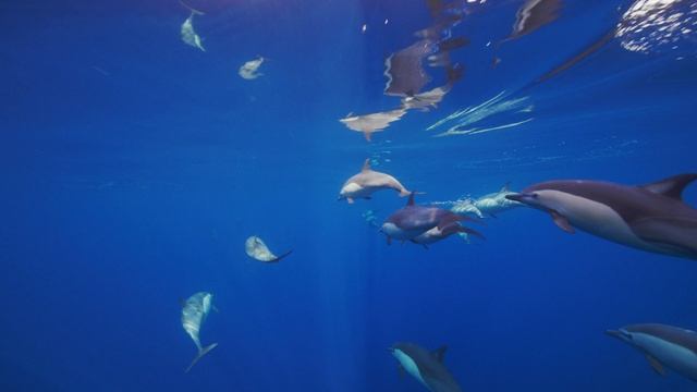 DL_B002_C011_SDR_20191122_SDR_2K_AVC