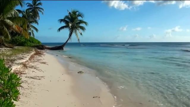 пляж пальма смотреть онлайн