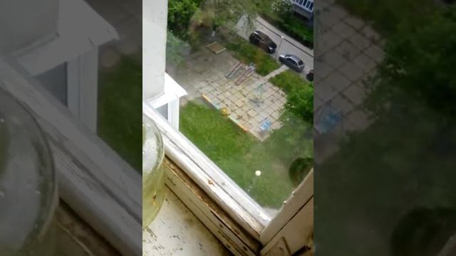 Как сделать микроскоп в домашних условиях