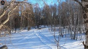 ТОП выстрелов на охоте.  Медведь, лось,  кабан, косуля