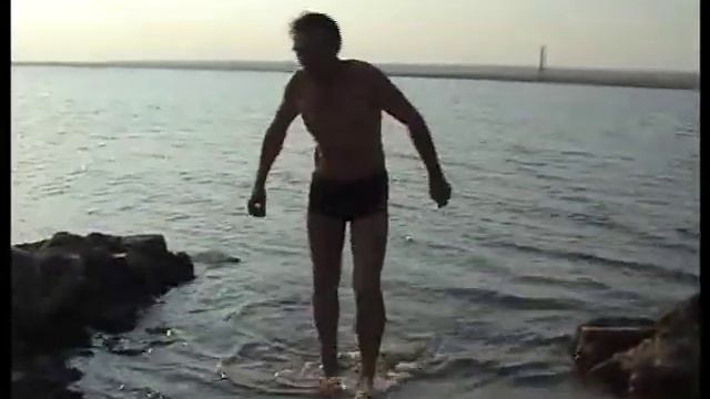 Отдых на море в Крыму. Новоозерное. Чайки на берегу. смотреть онлайн