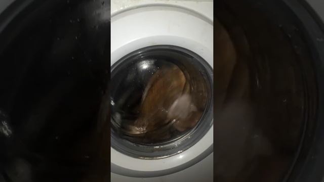 Трибуха в машинке смотреть онлайн