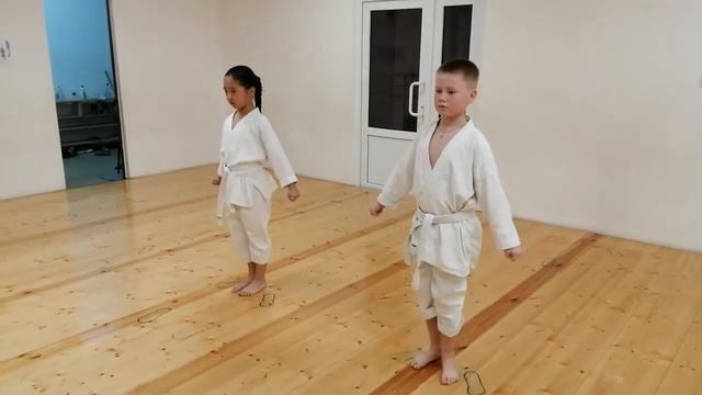 Мае гери | Подготовка на 8 кю | Mae geri смотреть онлайн