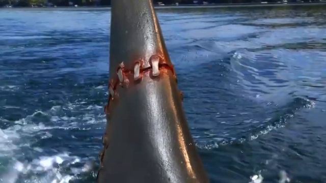 SHARKENSTEIN / MUSIC VIDEO смотреть онлайн