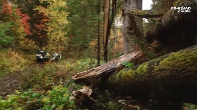 PINZGAUER 712k смотреть онлайн