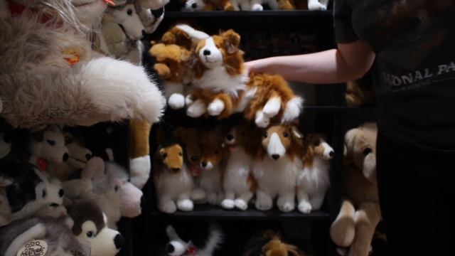 Dog and Wolf Plush collection 2022 смотреть онлайн