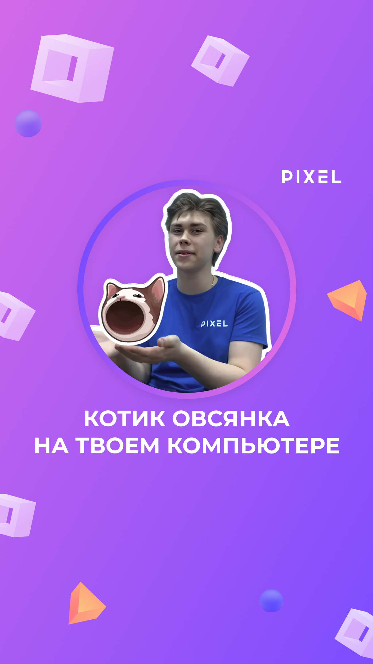 Как сделать корзину в виде котика Овсянки из мема? | Компьютерная грамотность | Мем кот Овсянка смотреть онлайн