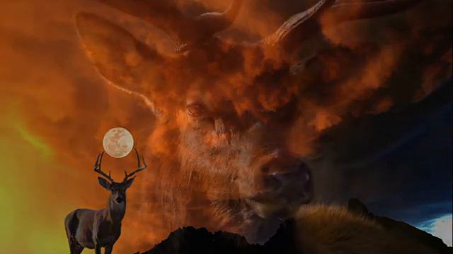 «Кукушка» Виктор Цой - Группа Kино, Полина Гагарина смотреть онлайн