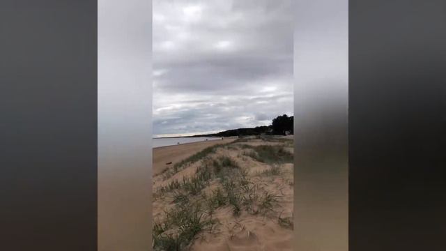 Питер💜 смотреть онлайн