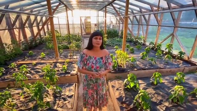 Отзыв о пленке СВЕТЛИЦА ™ от питомника «Покровский сад» смотреть онлайн