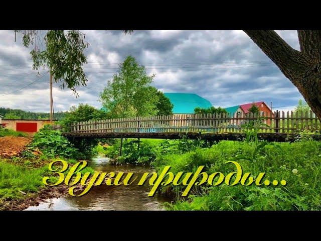 В деревне / Звуки природы смотреть онлайн