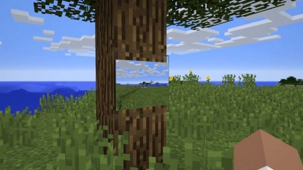 Обзор мода Camera mod 1. 12. 2.