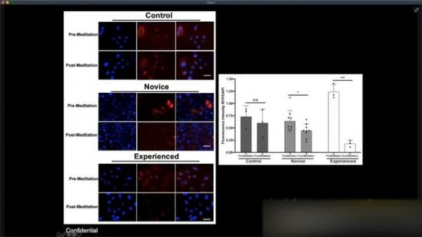Джо Диспенза: Живой эфир с недельного семинара