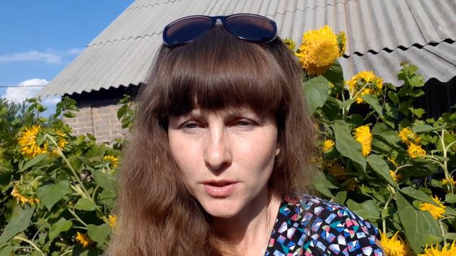31 Срочно! КУДА ИСЧЕЗЛИ ЛЮДИ???!!! ,карты послания для оставшихся!!!! смотреть онлайн