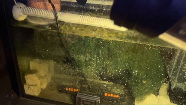 How I solved my Low PH Problems смотреть онлайн