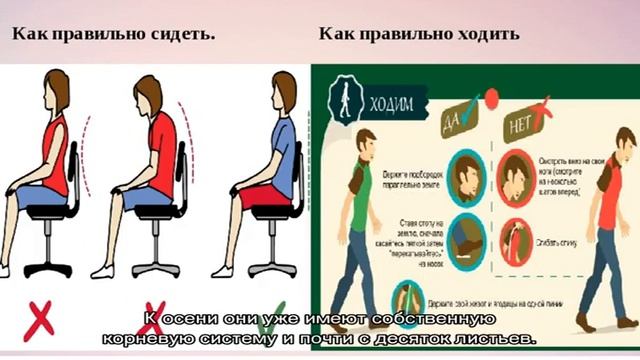 Памятка дачнику: как правильно пересадить клубнику осенью смотреть онлайн