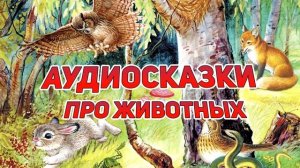 СБОРНИК ДЕТСКИХ СКАЗОК ПРО ЖИВОТНЫХ   АУДИОСКАЗКИ ПРО ЖИВОТНЫХ   СУНДУЧОК ИСТОРИЙ