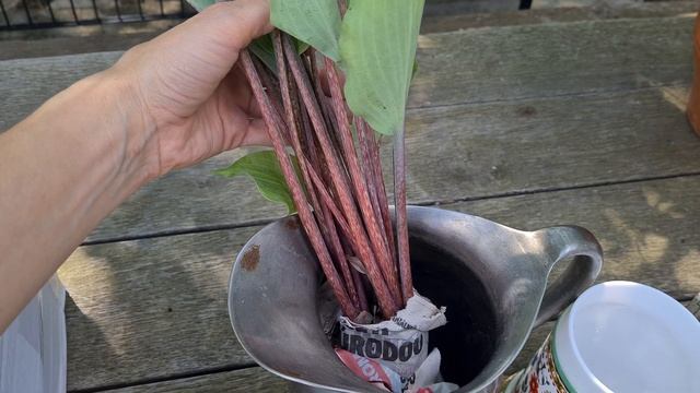 Новые хосты :-) Пришла 2-ая посылка - Коллекция хост смотреть онлайн