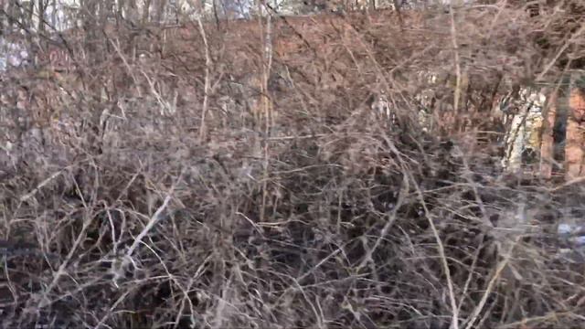 НОВОКУЗНЕЦК / НУ КАК ЖЕ ТАК 🤦♀️ КАК ОБМАНУТЬ УЖИН 🍲 смотреть онлайн