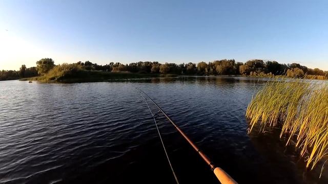 Окунь на отводной! Ловля на спиннинг летом с берега смотреть онлайн