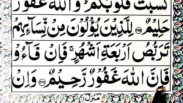Surah Baqrah {} Ayat 226 / 227 surah Al baqrah {} Learn word by word {} سورۃ البقرہ смотреть онлайн