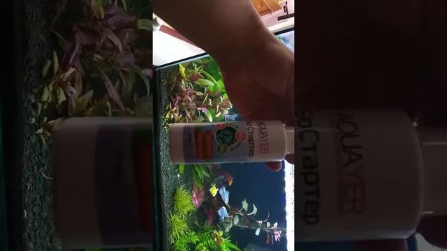 Мутная вода в аквариуме смотреть онлайн