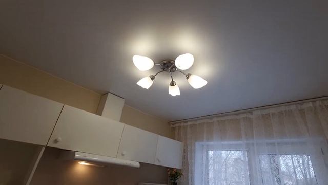 Замечательная двухкомнатная квартира с ремонтом у метро Академическая на Карпинского 38к5 смотреть онлайн